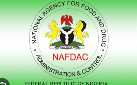 NAFDAC Begins Crackdown on Sachet, Small-Size Alcohol
